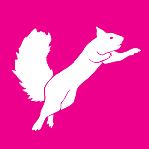 Flying Squirrel